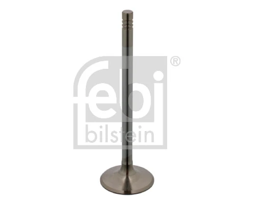 Intake Valve